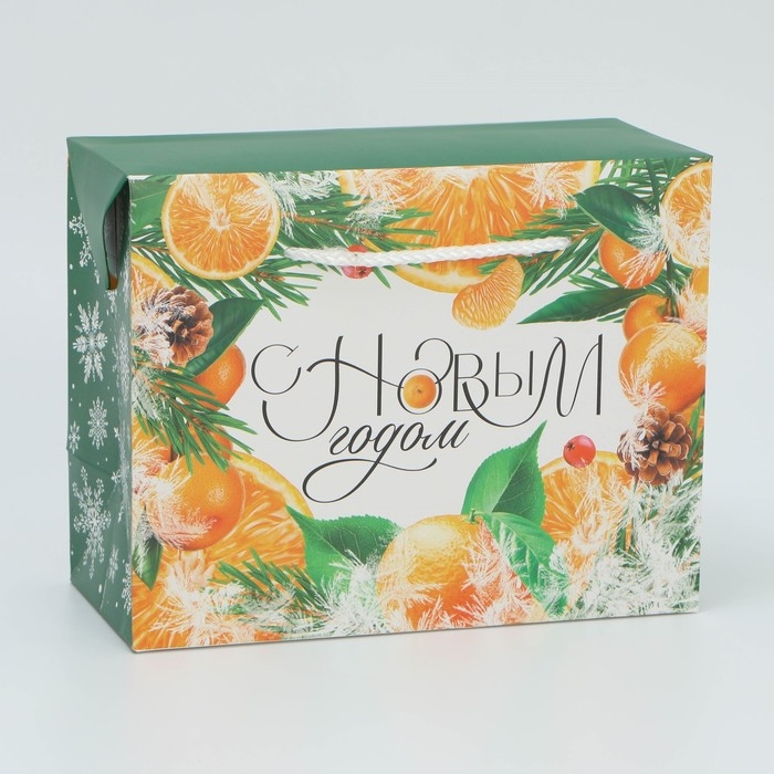 Пакет—коробка «Снежная история», 23 х 18 х 11 см Пакет—коробка «Снежная история», 23 х 18 х 11 см