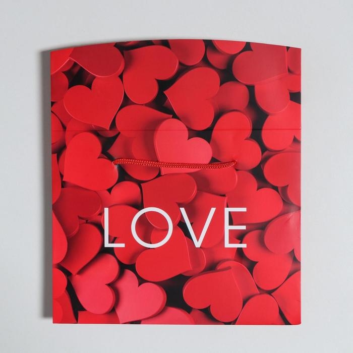 Пакет—коробка, подарочная упаковка, «Love», 23 х 18 х 11 см
