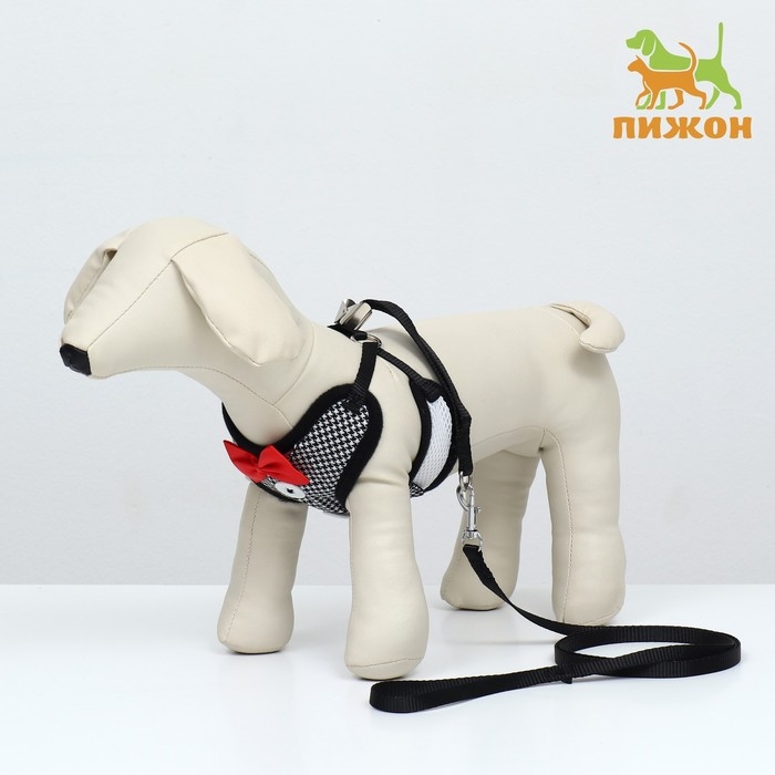 Комплект с мягкой шлейкой и бантиком , размер S, поводок 120 x 1,5 см, ОГ 23-42 см, серый Комплект с мягкой шлейкой и бантиком , размер S, поводок 120 x 1,5 см, ОГ 23-42 см, серый