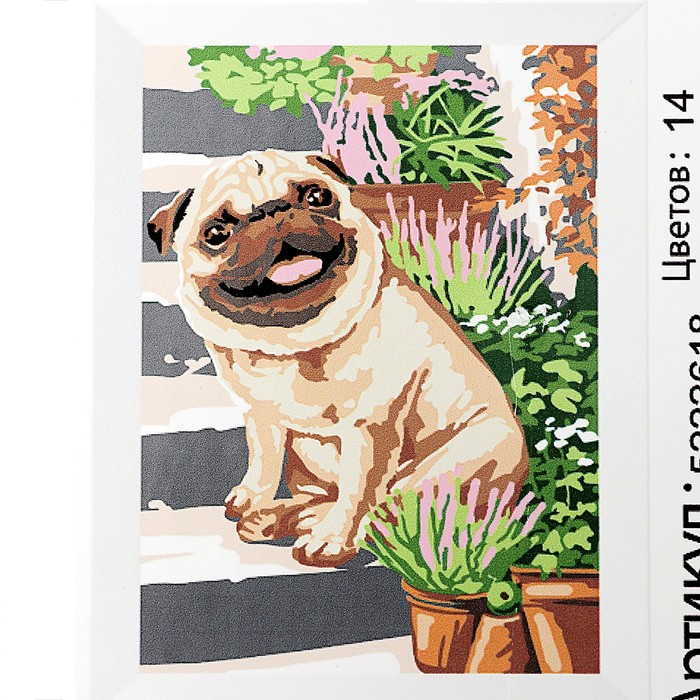 Картина по номерам на холсте с подрамником «Мопс» 20х30 см