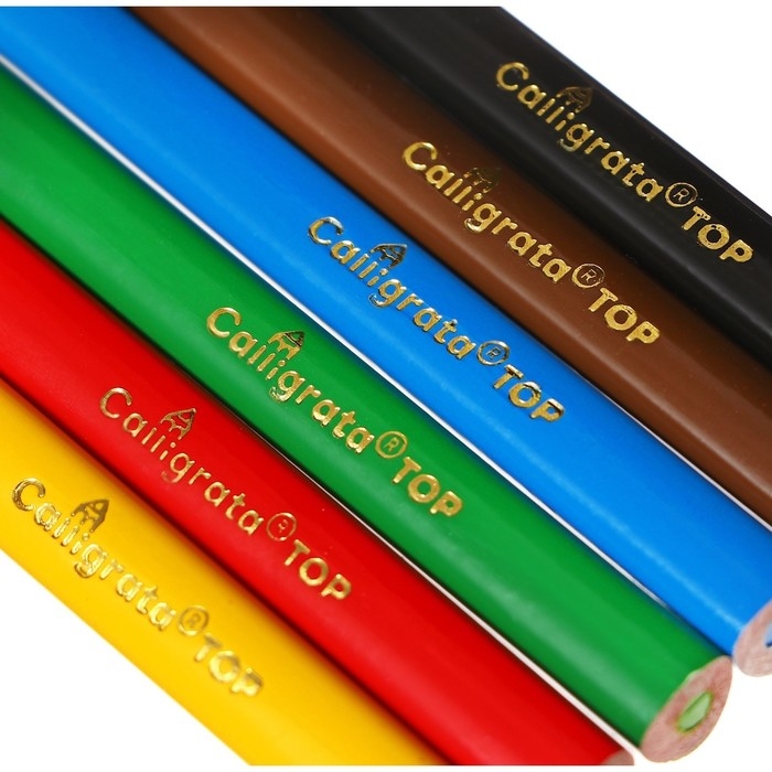 Карандаши 6 цветов TOP Calligrata, в картонной коробке, диаметр грифеля - 3мм, 5B Карандаши 6 цветов TOP Calligrata, в картонной коробке, диаметр грифеля - 3мм, 5B