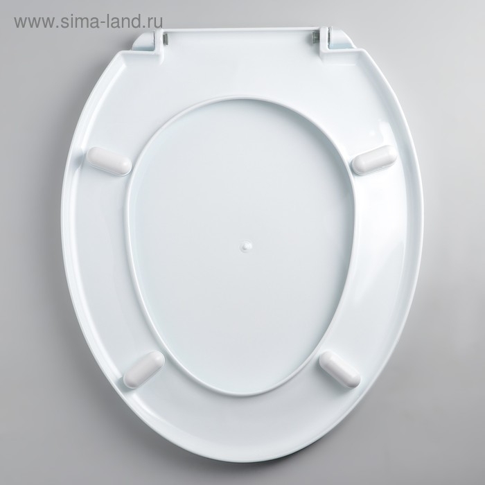 Сиденье для унитаза с крышкой Росспласт «Декор. Яхта», 44,5 х 37,5 см, белое Сиденье для унитаза с крышкой Росспласт «Декор. Яхта», 44,5 х 37,5 см, белое