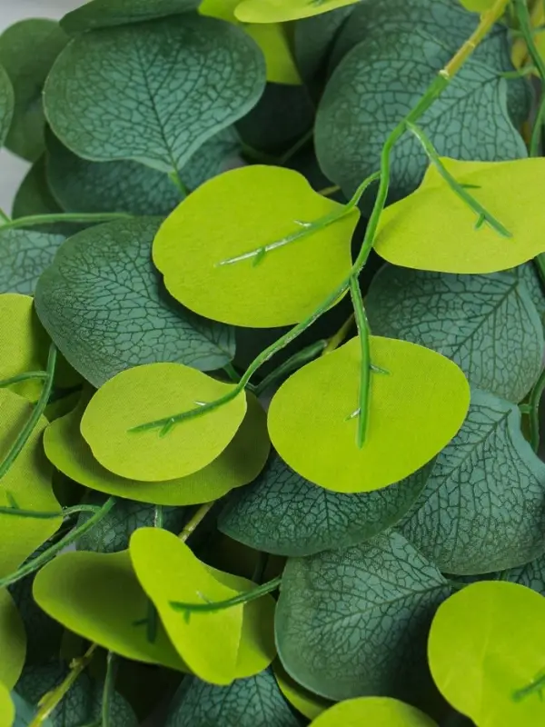 Цветы искусственные «Эвкалипт популус», h=96 см, зелёные Цветы искусственные «Эвкалипт популус», h=96 см, зелёные