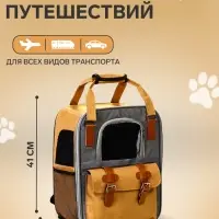Рюкзак-переноска для кошек и собак, 30&times;21&times;41 см, серый, жёлтый