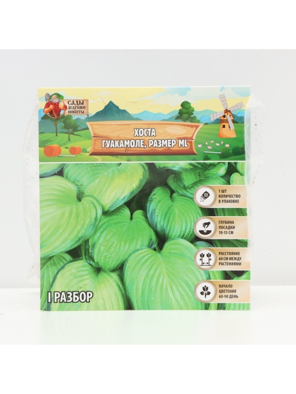 Хоста Guacamole, корневище в пакете с торфогрунтом, р-р I, размер ML,1 шт.