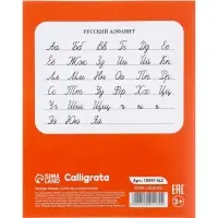 Тетради 10 штук, 12 листов в косую линейку Calligrata KIDS, блок офсет