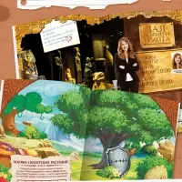 Набор книги-квесты, вариант 3, 5 книг