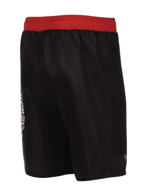 Шорты для ММА FIGHT EMPIRE, ART500, черные, размер XL