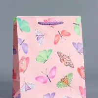 Пакет подарочный "Крылья счастья" ламинированный 18 х 22,3 х 10 см