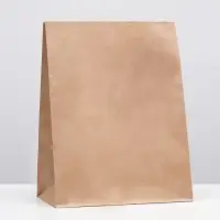 Пакет крафт бумажный фасовочный, прямоугольное дно 26×15×34 см