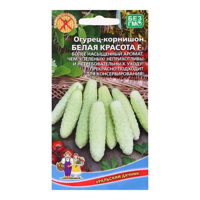 Семена Огурец Семена Огурец "Белая красота - корнишон", 10 шт