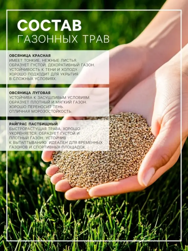 Газонная травосмесь Микс &laquo;Мой Выбор&raquo;, травосмесь, 1 кг