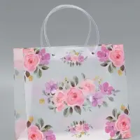 Пакет подарочный прозрачный , "Цветы" 30 х 26 х 12