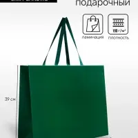 Пакет подарочный ламинированный горизонтальный &laquo;Изумрудный&raquo;, 48&times;39&times;16 см