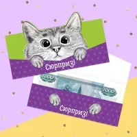 Конверт для денег фигурный «Кот», 17.5 х 8 см