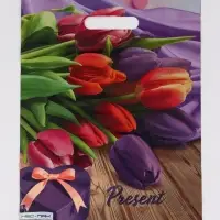 Пакет "Презент, полиэтиленовый с вырубной ручкой 30х40 см, 60 мкм Пакет "Презент, полиэтиленовый с вырубной ручкой 30х40 см, 60 мкм