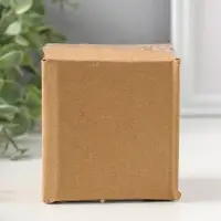 Фигурка полистоун &laquo;Белая сова с совёнком&raquo;, 8&times;6&times;8.5 см