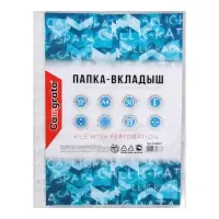 Файл - вкладыш Calligrata, А4, глянцевый, вертикальный, 100 штук, эконом