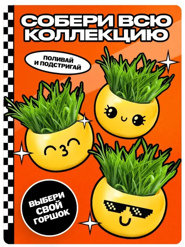 Набор для опытов «Выращиваем травку» Набор для опытов «Выращиваем травку»