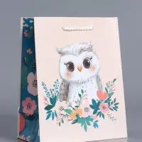 Пакет подарочный "Мудрая совушка" ламинированный 18 х 22,3 х 10 см