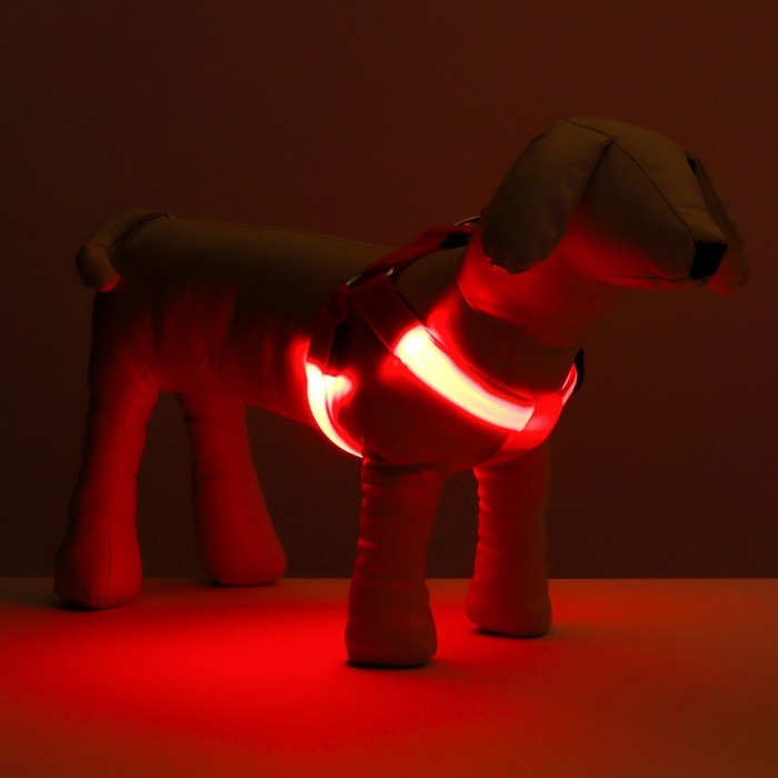 Шлейка светящаяся размер M, стропа 2,5 см, ОГ 38-50 см, 3 режима свечения красная Шлейка светящаяся размер M, стропа 2,5 см, ОГ 38-50 см, 3 режима свечения красная