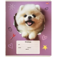 Тетрадь КЛЕТКА 18л. ОБАЯТЕЛЬНЫЕ ПЁСИКИ обл.-мелов.картон,ассорти 18-4310