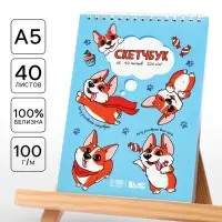 Скетчбук А5, 40 л 100 г/м&sup2; &laquo;Корги&raquo;