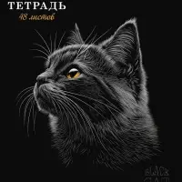 Тетрадь 48л А5ф клетка 60-65г/кв.м на скобе Обл. мел.картон мат.ламин. 3D лак МИКС