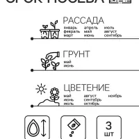 Семена комнатных цветов Пеларгония &laquo;Горизонт Пьюр Вайт&raquo;, 3 шт., &laquo;Семена Алтая&raquo;