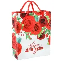 Пакет подарочный &laquo;Подарок для тебя&raquo;,12х15х5.5 см, упаковка, Принцессы