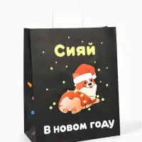 Пакет бумажный подарочный новогодний крафт &laquo;Сияй&raquo;, 27&times;21&times;11 см