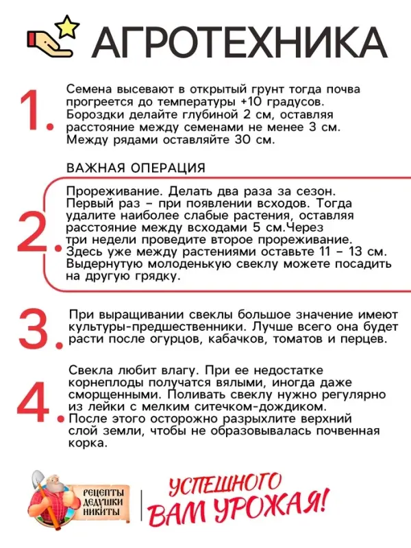 Семена Свекла столовая  Семена Свекла столовая "Мона", 1,5 г