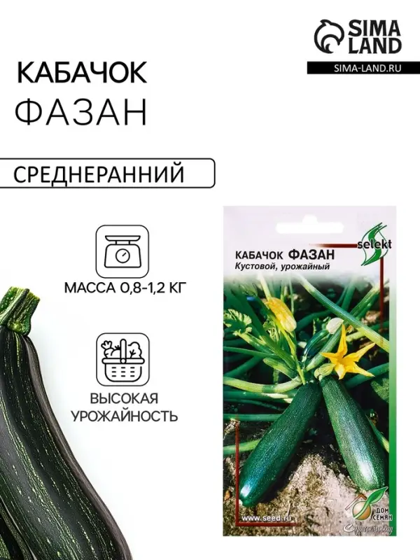 Семена Кабачок Фазан 14 шт