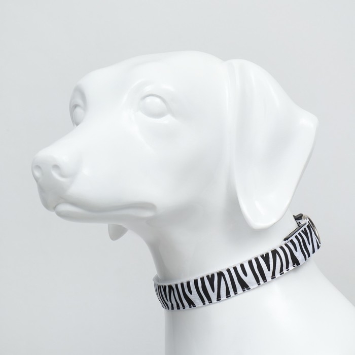 Ошейник с подсветкой Зебра 3 режима свечения размер XL, ОШ 60-70 х 2,5 см белый Ошейник с подсветкой Зебра 3 режима свечения размер XL, ОШ 60-70 х 2,5 см белый