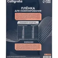 Пленка для ламинирования A4 80 мкм 100 шт., глянцевая, 216&times;303 мм