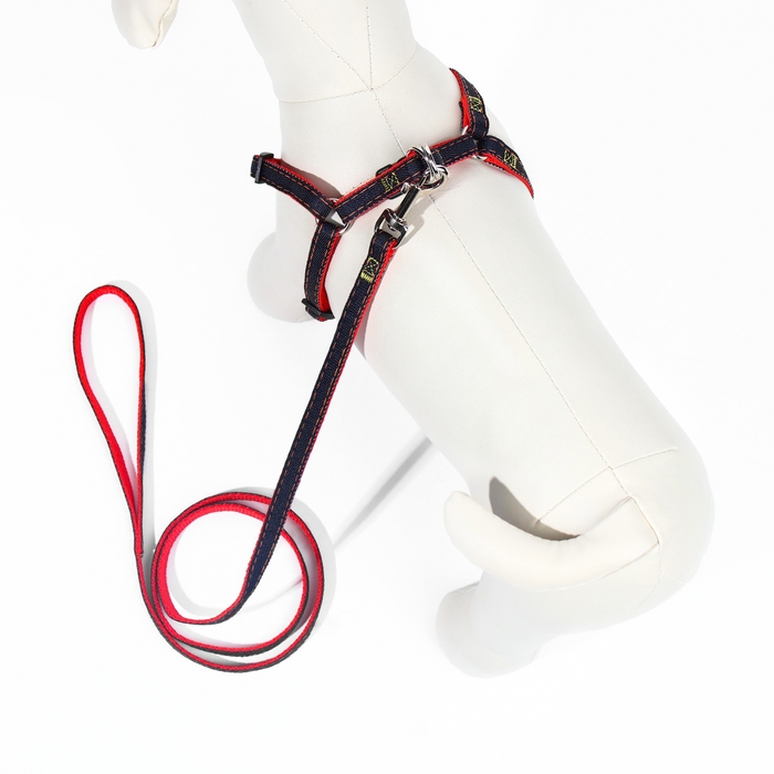 Комплект Комплект "Джинс", ширина 1 см, поводок 120 см, шлейка 25-40 см, красный