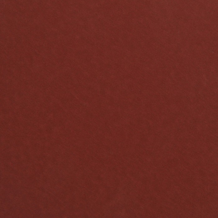 Круг абразивный шлифовальный под  Круг абразивный шлифовальный под "липучку" ТУНДРА, 125 мм, Р1500, 10 шт.