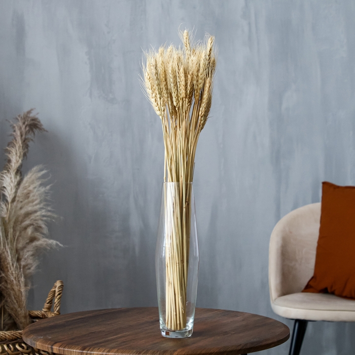 Сухой колос пшеницы, набор 50 шт., цвет белый Сухой колос пшеницы, набор 50 шт., цвет белый