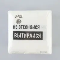 Салфетки бумажные однослойные &laquo;Не стесняйся-вытирайся&raquo;, 24&times;24 см, набор 100 шт.