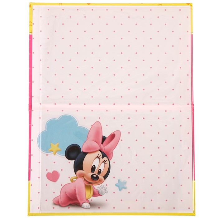 Обложка для документов набор  Обложка для документов набор "Мои первые документы", Минни Маус, 21х30 см