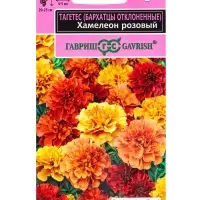 Семена цветов Бархатцы откл. Хамелеон розовый (Тагетес)* 5 шт. серия Эксклюзив