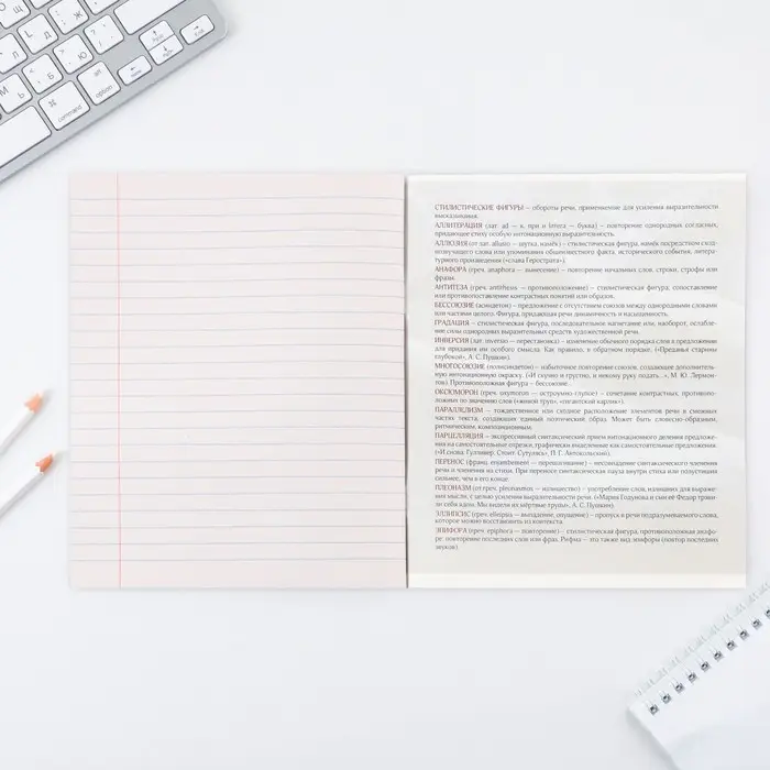 Тетрадь в линейку, предметная, 48 л.,на скрепке, А5 &laquo;КОСМОС. Литература&raquo;