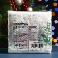 Салфетки новогодние бумажные Desna Design «Снегурочка», 1 слой, 24x24 см, 40 шт Салфетки новогодние бумажные Desna Design «Снегурочка», 1 слой, 24x24 см, 40 шт