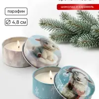Свечи новогодние 2 шт. &laquo;Символ года 2027&raquo;, ароматы шоколад и карамель, диам. 4.8 см