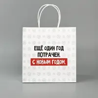 Пакет подарочный новогодний &laquo;Ещё один год&raquo;, 22&times;22&times;11 см
