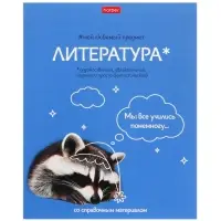 Набор предметных тетрадей Hatber &laquo;Мой любимый предмет&raquo;, 12 предметов, 48 листов, со справочным материалом, обложка из мелованного картона