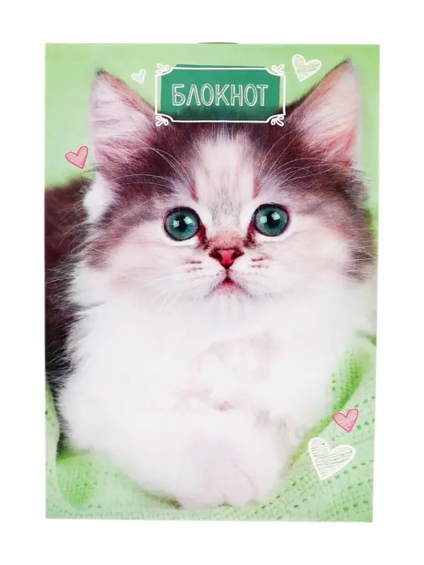 Блокнот А6, 24 листа в клетку на скрепке &laquo;Котята&raquo;, обложка мелованный картон, МИКС
