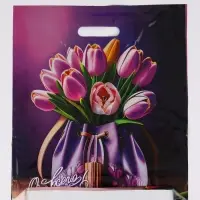 Пакет "Сумочка, полиэтиленовый с вырубной ручкой 38х45 см, 60 мкм Пакет "Сумочка, полиэтиленовый с вырубной ручкой 38х45 см, 60 мкм