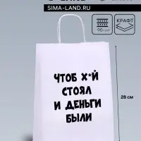 Пакет подарочный «Чтоб деньги были», 24×14×28см