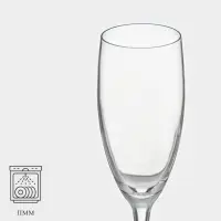 Бокал-флюте для шампанского Chef&Sommelier CABERNET, 190 мл, стекло